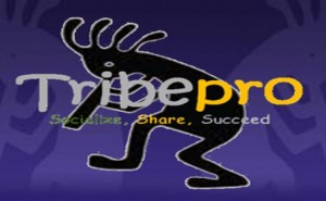 Tribepro Content Syndication