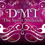 Rick Strassman MD | Researcher on entheogen DMT, who help create a documentary called: DMT: The Spirit Molecule 